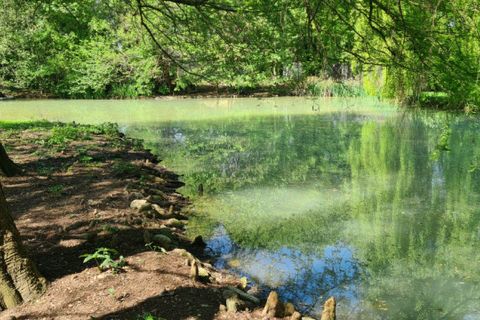 Villa a Riese Pio X, Treviso, Riese Pio X - € 1.150.000 | Ref: MB1604 - foto 46