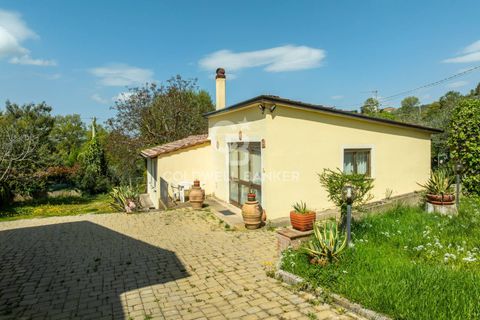 Villa i Gualdo Cattaneo, Perugia, Gualdo Cattaneo - € 225.000 | Ref: CBI134-2230-275 - foto 16