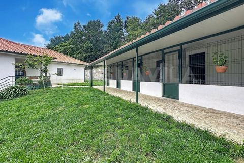 Villa i Venade e Azevedo, Viana do Castelo, Venade e Azevedo - € 299.000 | Ref: 2825 - foto 27