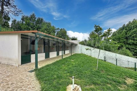 Villa i Venade e Azevedo, Viana do Castelo, Venade e Azevedo - € 299.000 | Ref: 2825 - foto 28