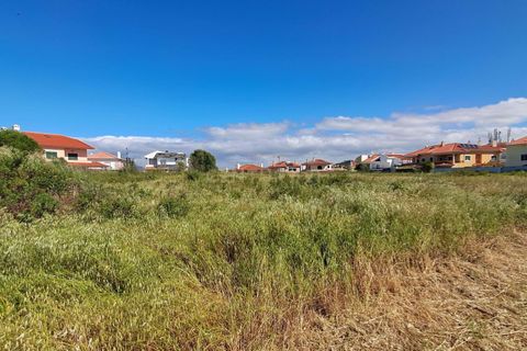 Helårsgrund i Oeiras, Lisbon, Oeiras - € 3.500.000 | Ref: C0283-01213 - foto 10