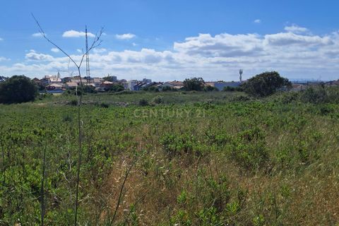 Helårsgrund i Oeiras, Lisbon, Oeiras - € 3.500.000 | Ref: C0283-01213 - foto 12
