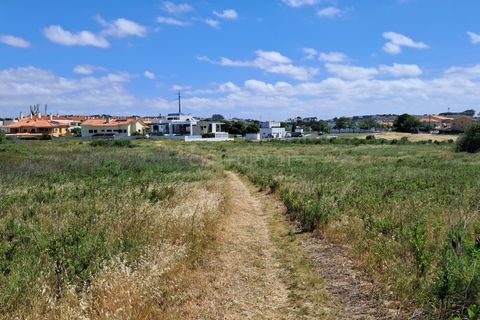 Helårsgrund i Oeiras, Lisbon, Oeiras - € 3.500.000 | Ref: C0283-01213 - foto 17