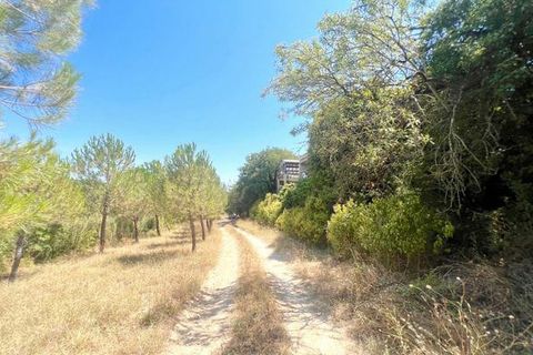 Villa i Pezenas, Herault, Pezenas - € 499.000 | Ref: 36247 - foto 11