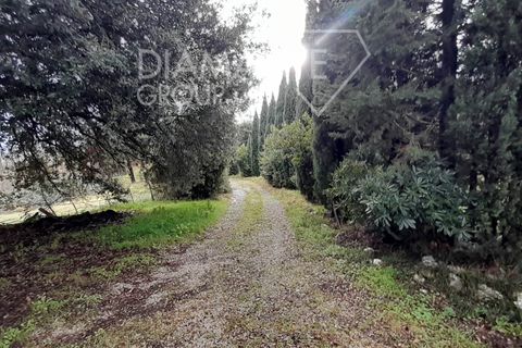 Granja a Pomarance, Pisa, Pomarance - € 160.000 | Ref: AZ400 - foto 5
