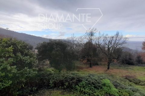 Granja a Pomarance, Pisa, Pomarance - € 160.000 | Ref: AZ400 - foto 8