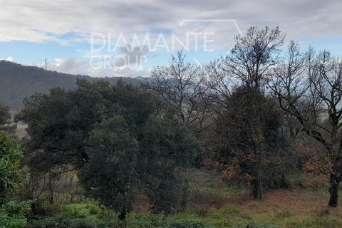 Granja a Pomarance, Pisa, Pomarance - € 160.000 | Ref: AZ400 - foto 9