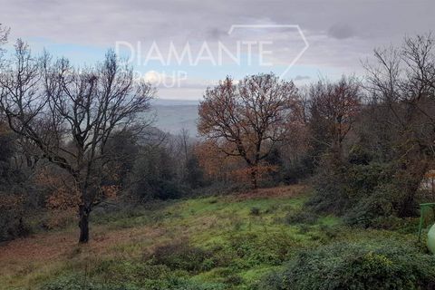 Granja a Pomarance, Pisa, Pomarance - € 160.000 | Ref: AZ400 - foto 10