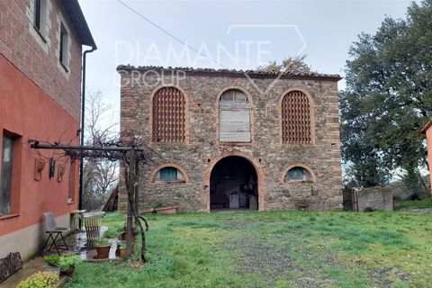 Granja a Pomarance, Pisa, Pomarance - € 450.000 | Ref: AZ399 - foto 3