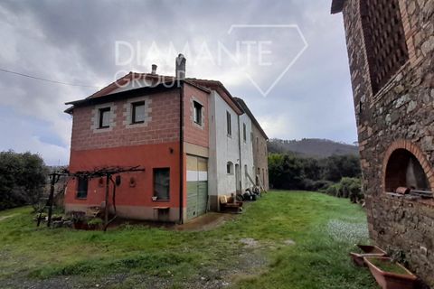 Granja a Pomarance, Pisa, Pomarance - € 450.000 | Ref: AZ399 - foto 6