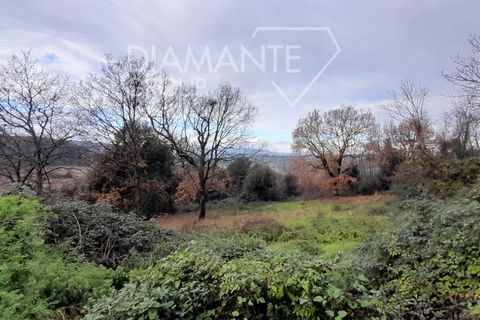 Granja a Pomarance, Pisa, Pomarance - € 450.000 | Ref: AZ399 - foto 9