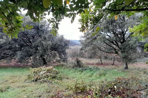 Granja a Pomarance, Pisa, Pomarance - € 450.000 | Ref: AZ399 - foto 10