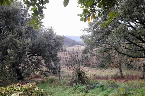 Granja a Pomarance, Pisa, Pomarance - € 450.000 | Ref: AZ399 - foto 11