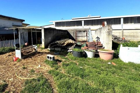Tomt i Vidigulfo, Pavia, Vidigulfo - € 56 400 | Ref: 2639303 - foto 8