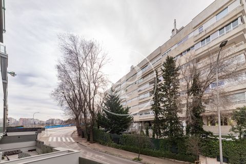 Apartment in Madrid, Madrid, Madrid - € 2,700/month | Ref: AM2605063 - photo 23