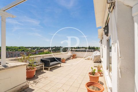 Penthouse i Madrid, Madrid, Madrid - € 1 590 000 | Ref: VM2605058 - foto 41