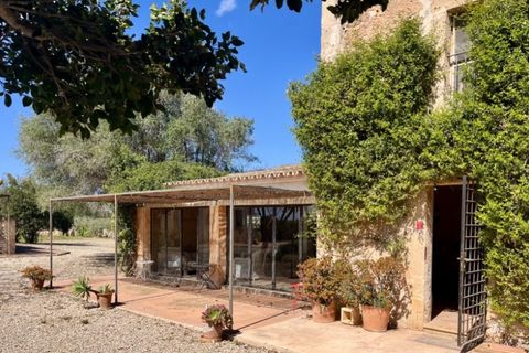 Landejendom i Campos, Mallorca, Campos - € 2.450.000 | Ref: 7781 - foto 5