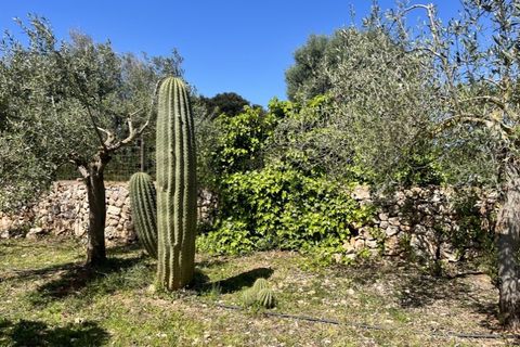Landejendom i Campos, Mallorca, Campos - € 2.450.000 | Ref: 7781 - foto 21
