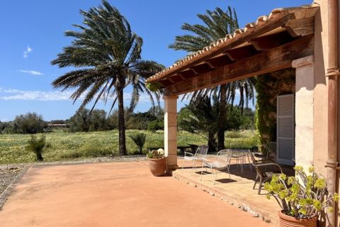 Landejendom i Campos, Mallorca, Campos - € 2.450.000 | Ref: 7781 - foto 28