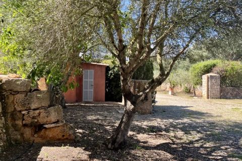 Landejendom i Campos, Mallorca, Campos - € 2.450.000 | Ref: 7781 - foto 29
