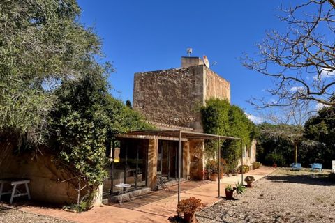 Landejendom i Campos, Mallorca, Campos - € 2.450.000 | Ref: 7781 - foto 30
