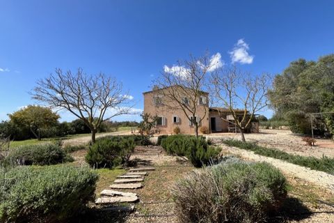 Landejendom i Campos, Mallorca, Campos - € 2.450.000 | Ref: 7781 - foto 31