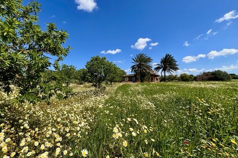 Landejendom i Campos, Mallorca, Campos - € 2.450.000 | Ref: 7781 - foto 32