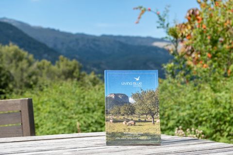 Villa a Campanet, Mallorca, Campanet - € 1.350.000 | Ref: 7702 - foto 14