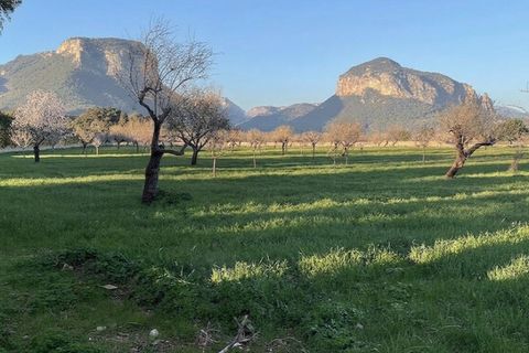 Helårsgrund i Alaro, Mallorca, Alaro - € 697.000 | Ref: 7799 - foto 1