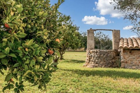 Landejendom i Selva, Mallorca, Selva - € 1.000.000 | Ref: 7239 - foto 2