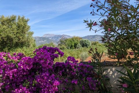 Landejendom i Selva, Mallorca, Selva - € 1.000.000 | Ref: 7239 - foto 5