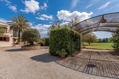 Landejendom i Selva, Mallorca, Selva - € 1.000.000 | Ref: 7239 - foto 20