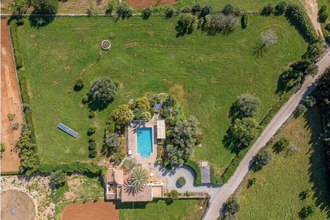 Landejendom i Selva, Mallorca, Selva - € 1.000.000 | Ref: 7239 - foto 23