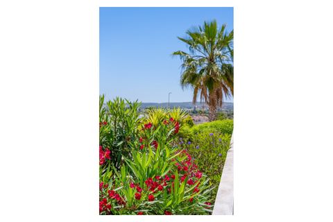 Villa a La Marina, Alicante, La Marina - € 595.000 | Ref: CB-98108 - foto 37
