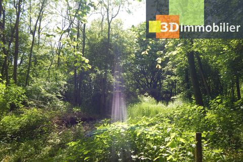 Villa i Bletterans, Jura, Bletterans - € 650.000 | Ref: CL54282625UBI - foto 20