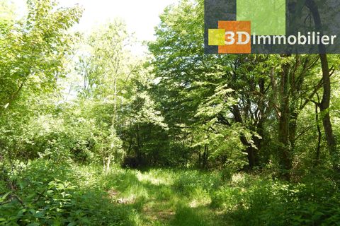 Villa a Bletterans, Jura, Bletterans - € 650.000 | Ref: CL54282625UBI - foto 18