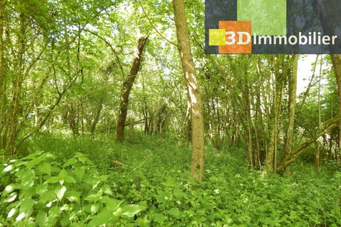 Villa a Bletterans, Jura, Bletterans - € 650.000 | Ref: CL54282625UBI - foto 21