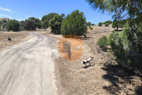 Działka: Castro Marim, Faro, Castro Marim – 59 000 € | Ref: SU-CS-TR-94770 – zdjęcie 10
