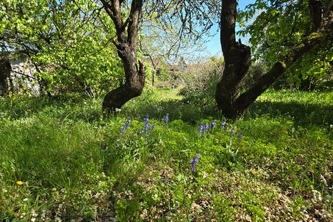 Villa i Brillac, Charente, Brillac - € 117.000 | Ref: KV-5083 - foto 18