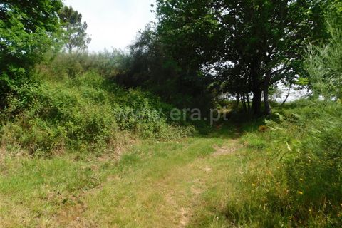Helårsgrund i Seia, Guarda, Seia - € 70.000 | Ref: 382260051 - foto 2