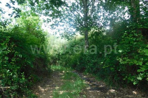 Helårsgrund i Seia, Guarda, Seia - € 70.000 | Ref: 382260051 - foto 3