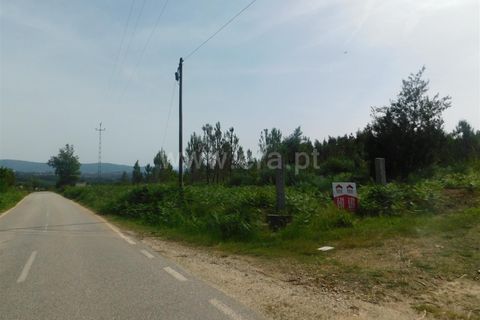 Helårsgrund i Seia, Guarda, Seia - € 70.000 | Ref: 382260051 - foto 4