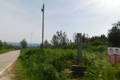 Helårsgrund i Seia, Guarda, Seia - € 70.000 | Ref: 382260051 - foto 5