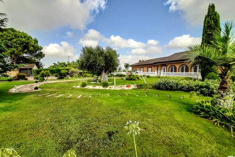 Villa i Montserrat, Valencia, Montserrat - € 898.000 | Ref: VLC9389 - foto 50