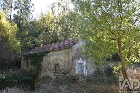 Byhus i Ourem, Santarem, Ourem - € 55.000 | Ref: 134530 - foto 1