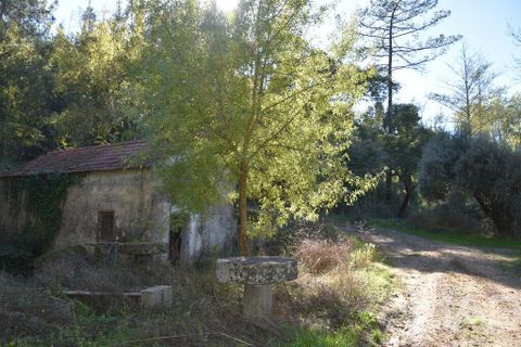 Byhus i Ourem, Santarem, Ourem - € 55.000 | Ref: 134530 - foto 2