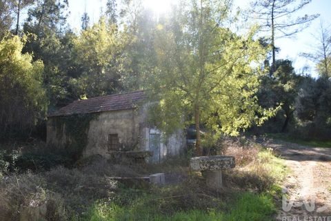 Byhus i Ourem, Santarem, Ourem - € 55.000 | Ref: 134530 - foto 3