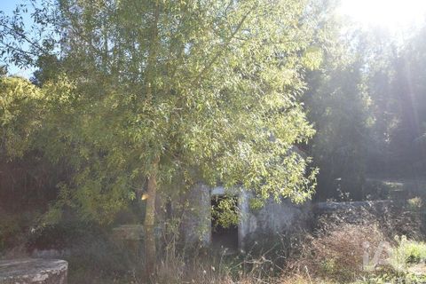 Byhus i Ourem, Santarem, Ourem - € 55.000 | Ref: 134530 - foto 6