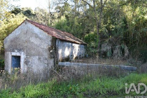 Byhus i Ourem, Santarem, Ourem - € 55.000 | Ref: 134530 - foto 12