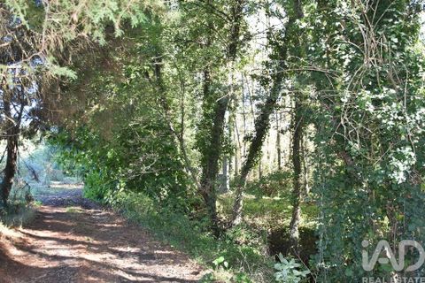 Byhus i Ourem, Santarem, Ourem - € 55.000 | Ref: 134530 - foto 28